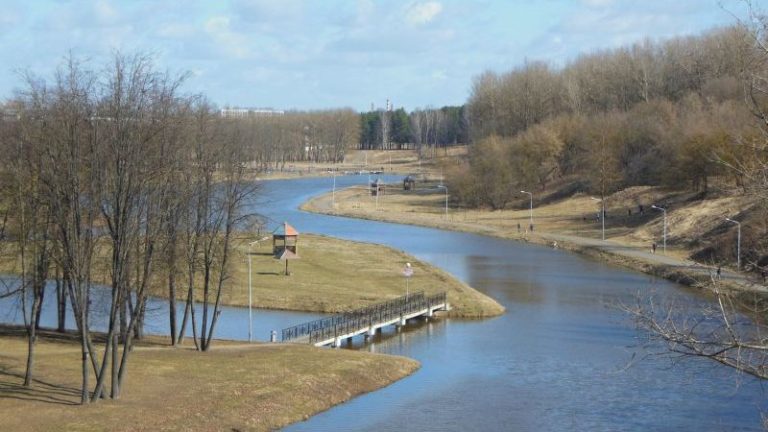 Живописные берега Витьбы