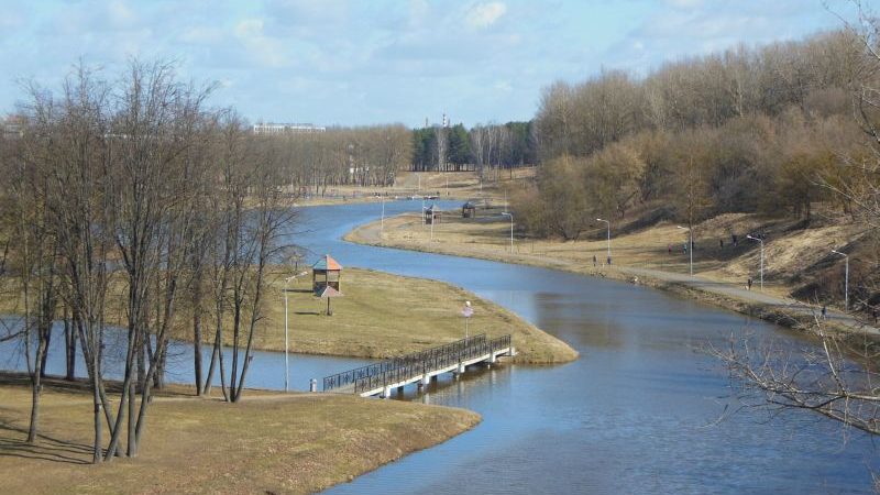 Живописные берега Витьбы