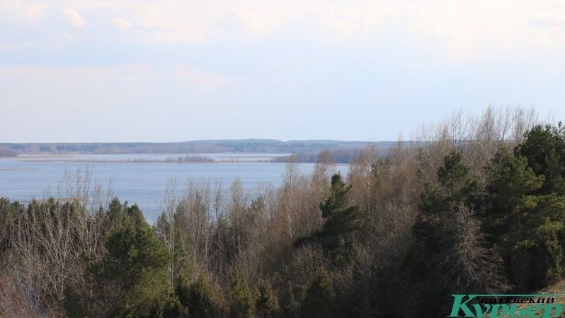 Браслав гора Маяк