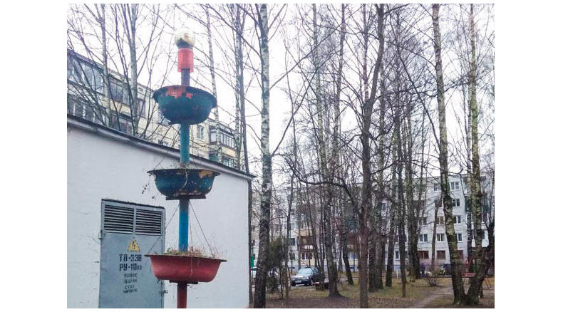 Дворы кашпо из тазов