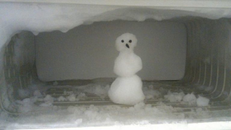 маленький снеговик в морозилке