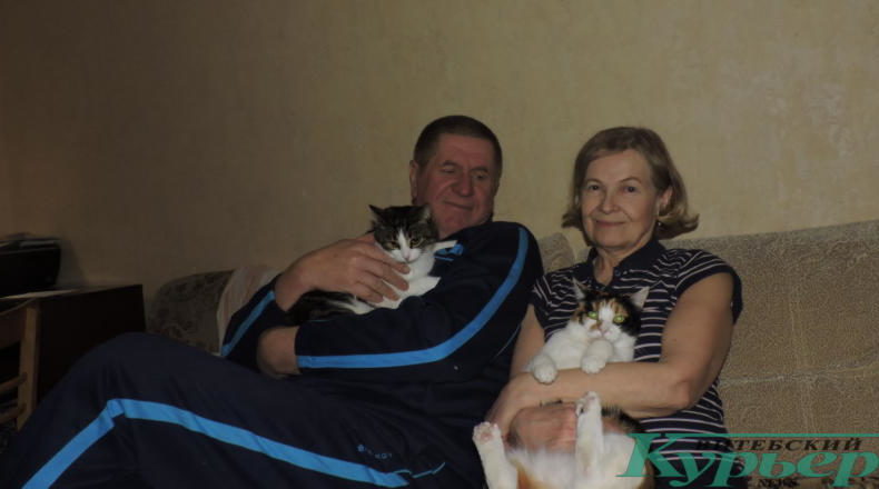 семья с питомцами