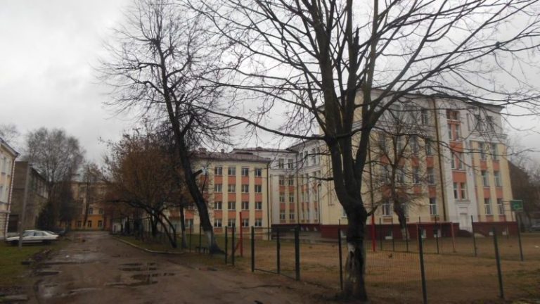 Гимназия № 2 Витебск