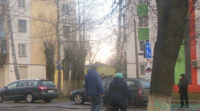 Обрубленные деревья на Московском проспекте