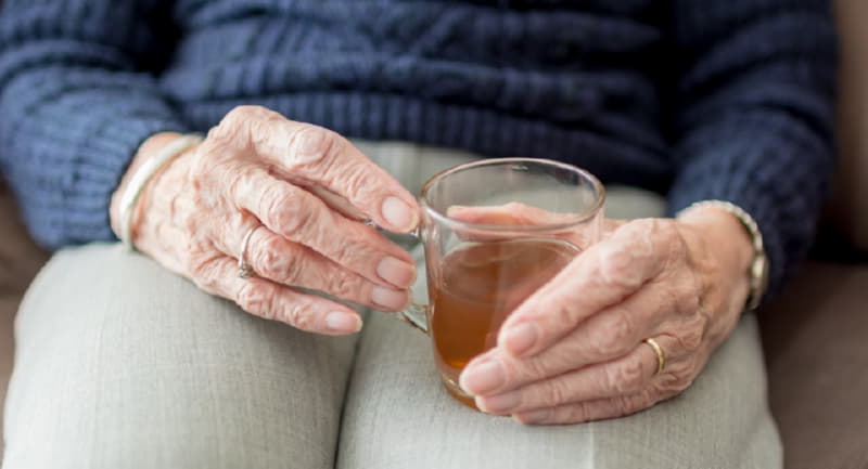 Как выжить на пенсию в Беларуси?