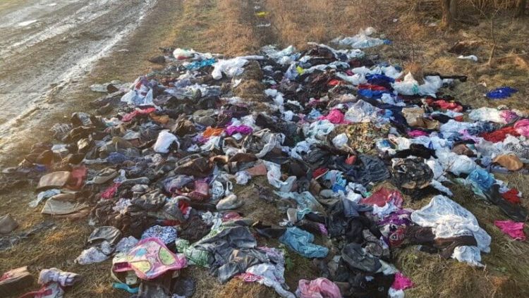 старые вещи в лесу