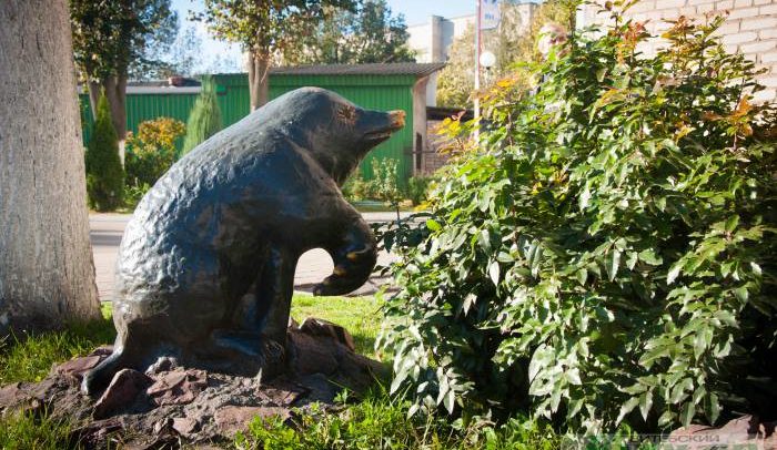 скульптура крота на улице мира
