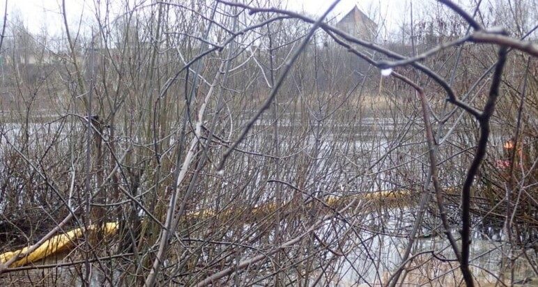 Двина масленое пятно