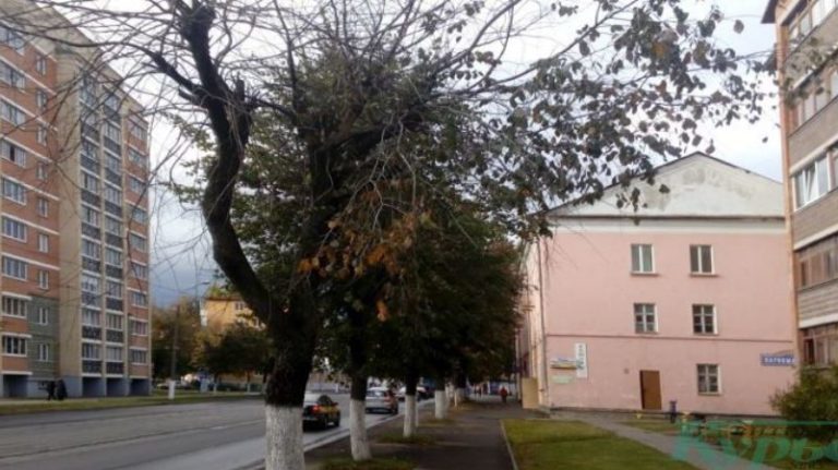 На улице Герцена