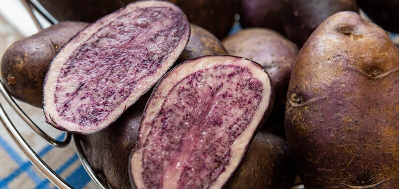 Фиолетовый картофель