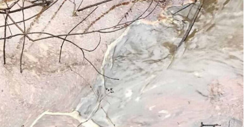 В Витебске в Двину попали технические масла