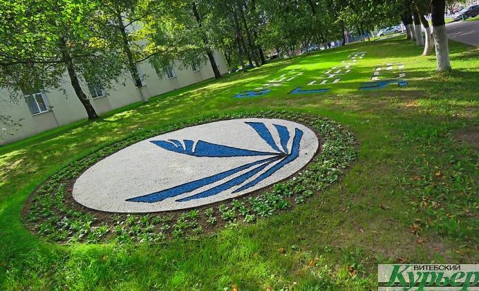 клумба ВГУ Машерова