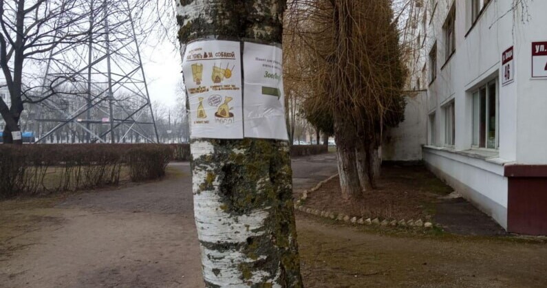 Объявление о выгуле собак