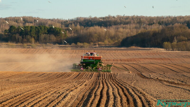 Посевная в тулово 2020