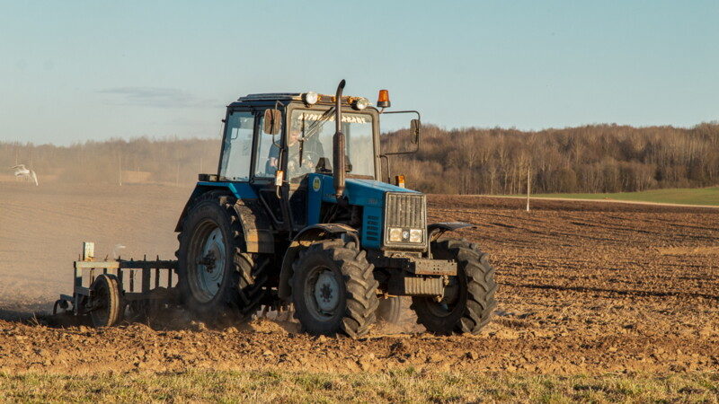 Институт сельского хозяйства Витебск