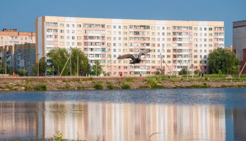 Птица над прудом за ледовым дворцом