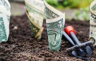 деньги растут