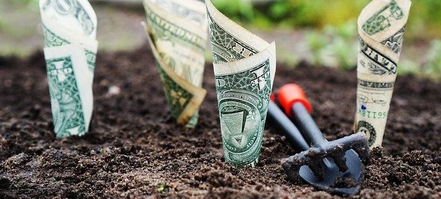 деньги растут
