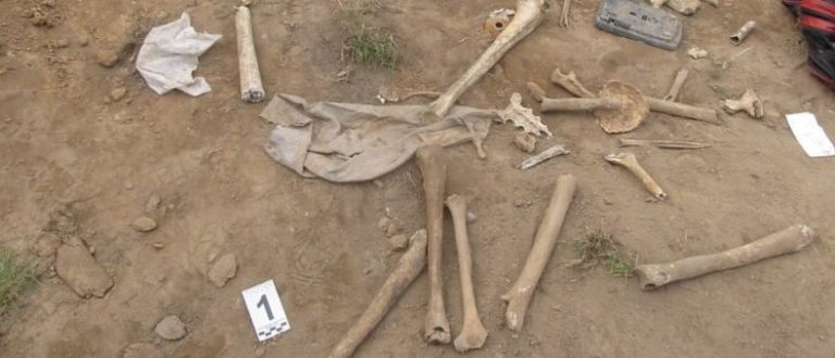 Находки останков под Оршей