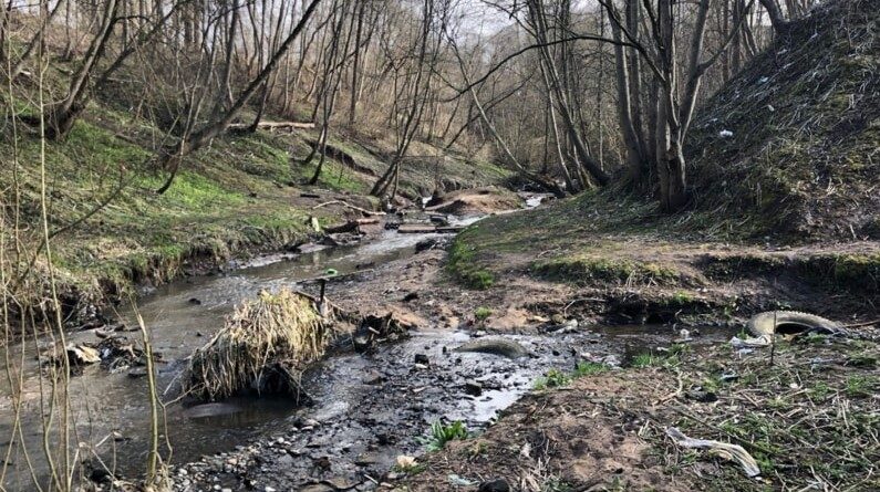 Овраг ул.Правда