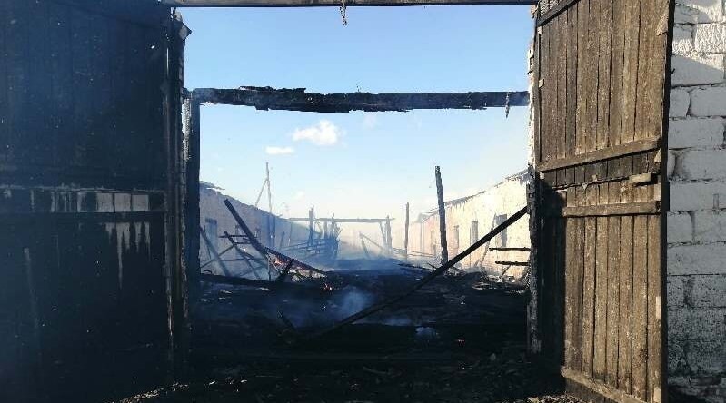 пожар на конюшне