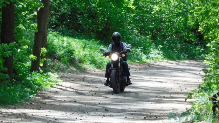 Мотоциклист в лесопарке
