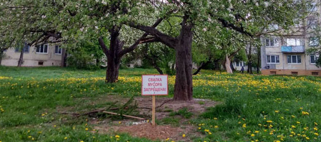 табличка не бросать мусор