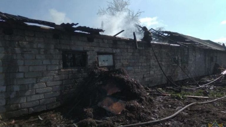 Сарай пожар поставский район