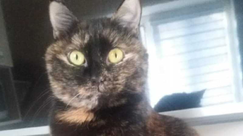 Маша когда-то жила в приюте