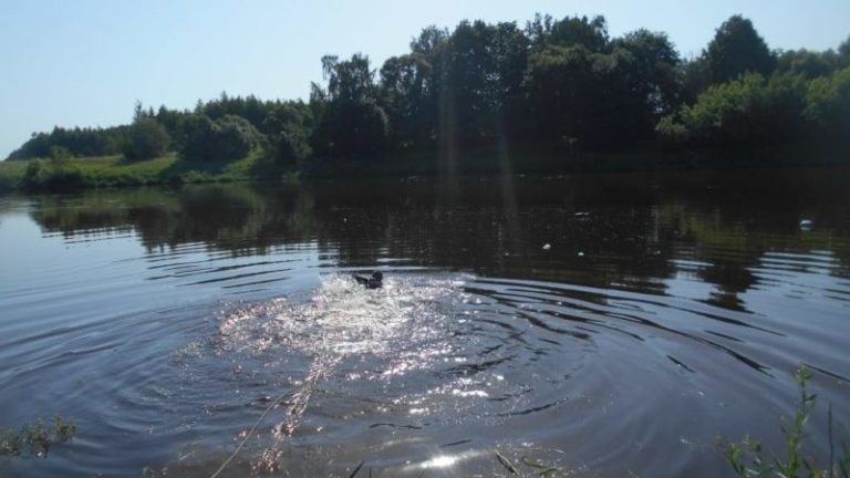 спасатели достают утонувший автомобиль