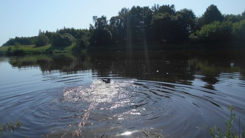 спасатели достают утонувший автомобиль