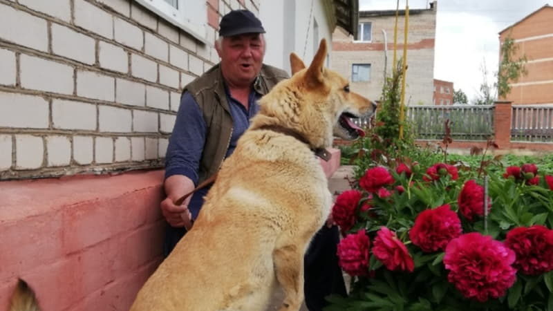 Бывшеприютский Чарли с любимым хозяином