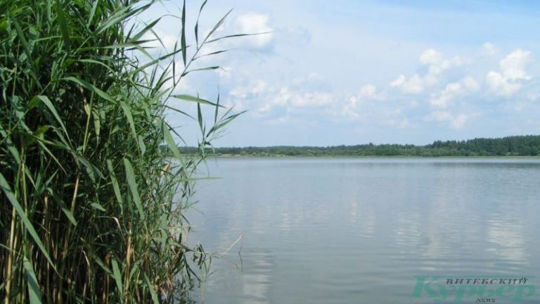 Озеро в Сосновке