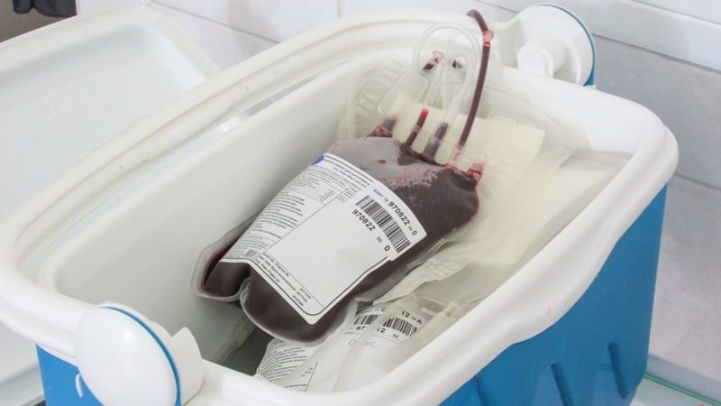 донорская кровь