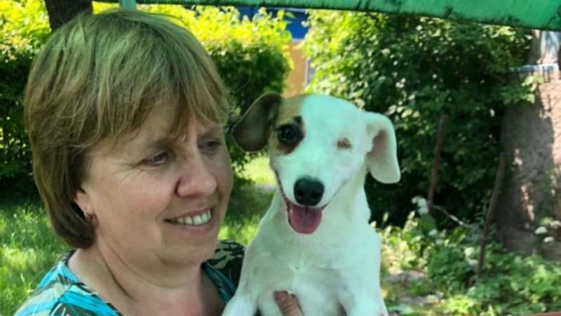 Собака с хозяйкой