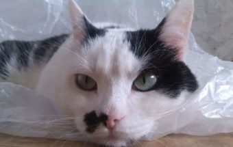 Тима раньше жил в приюте