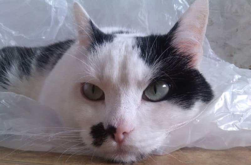 Тима раньше жил в приюте