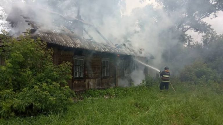 пожарные тушат пожар Оршанский район