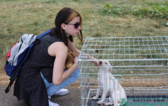 Щенок из приюта