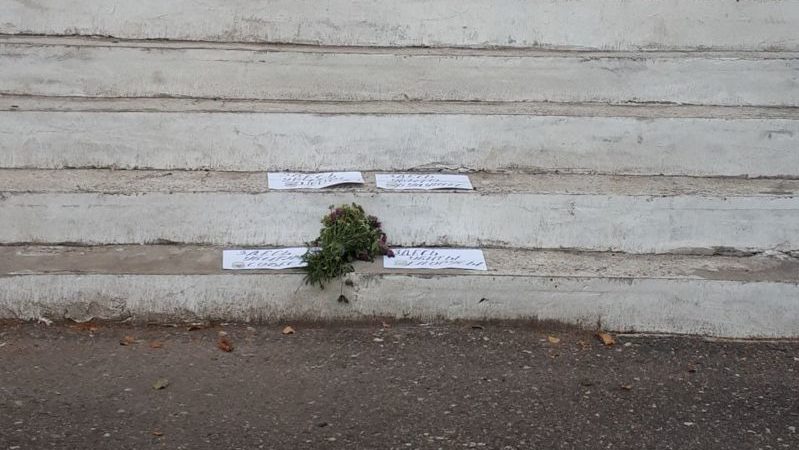 СШ44 ступеньки