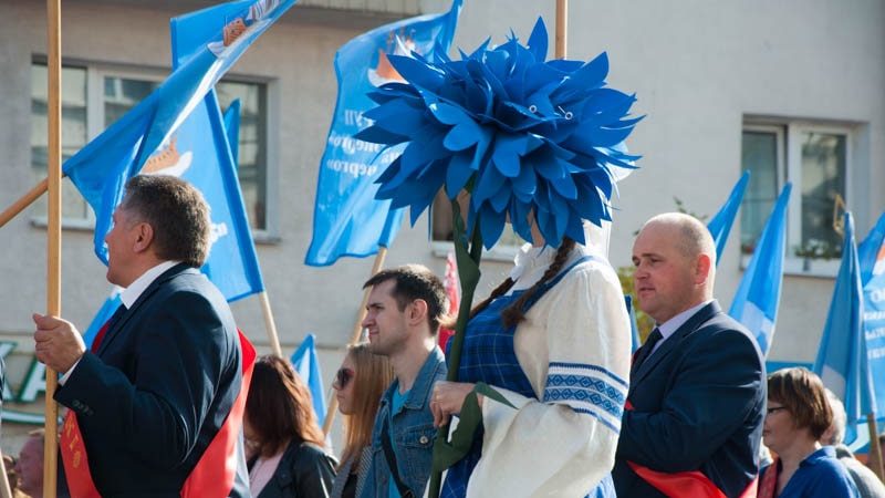 девушкаприкрывает лицо васильком