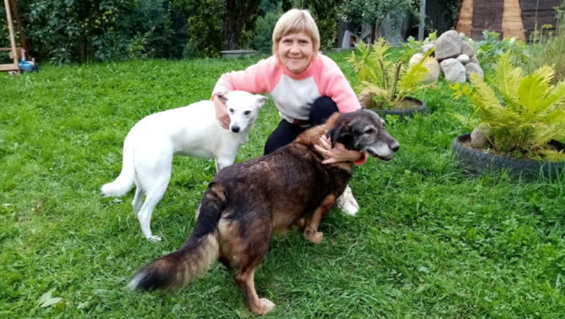 Хозяйка с собаками