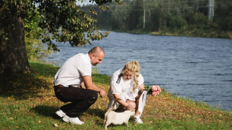 Молодожены с кошкой