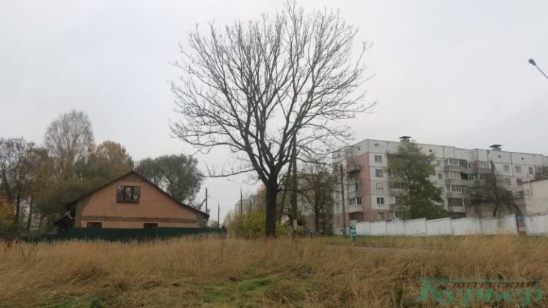 Улица Воровского