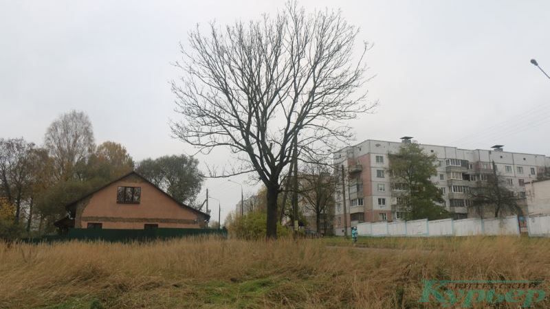 Улица Воровского