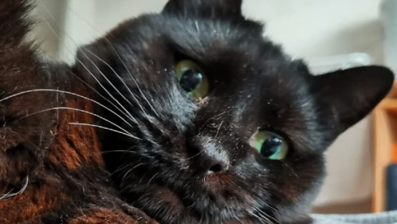 Бруня счастлива дома