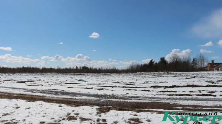 Место "бандитского кладбища" в Сураже