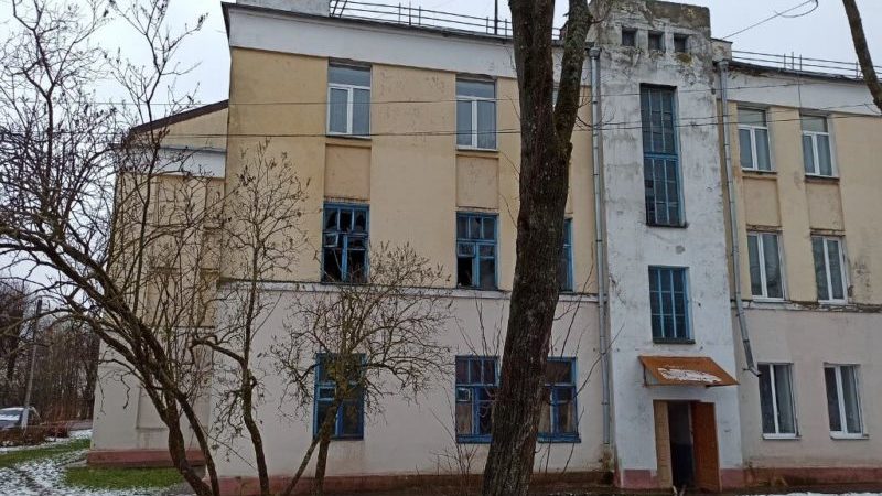 пожар Оршанский район4