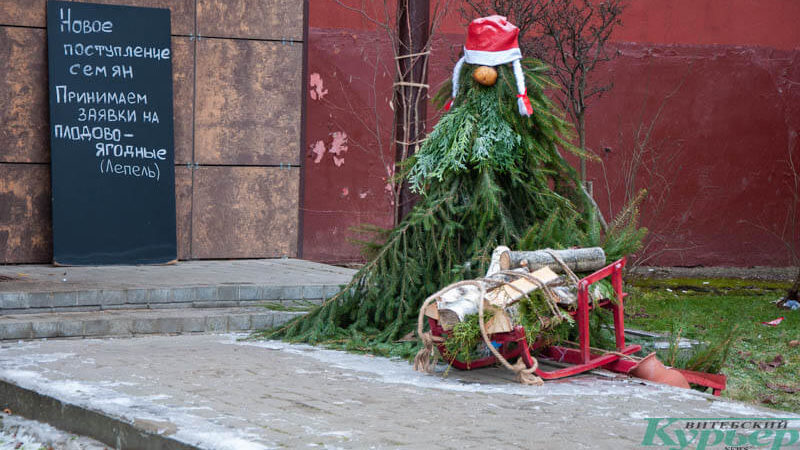 12 декабря 10