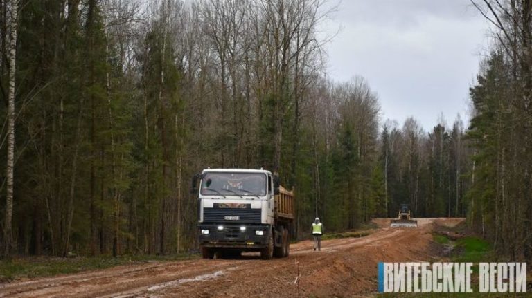 дорога в лесу